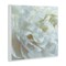 Stupell Industries Elegant White Petals Wall Plaque Design by David Pollard